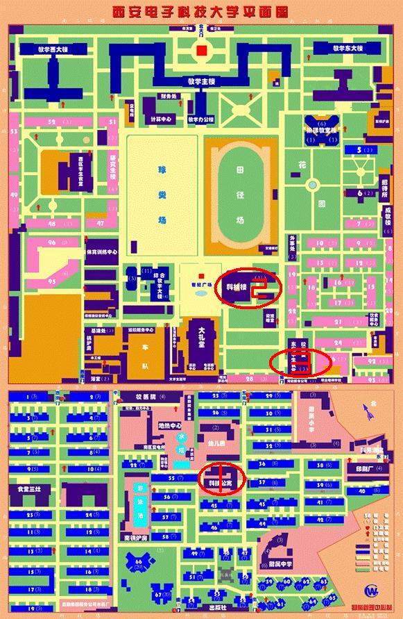 世界杯实时比分 北校区 平面图